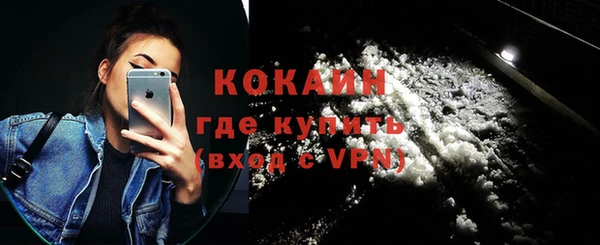 ECSTASY Богданович