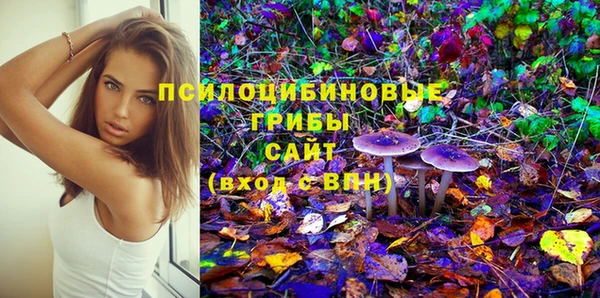 mdpv Белокуриха