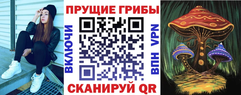 Псилоцибиновые грибы Psilocybine cubensis  дарнет шоп  Чайковский 